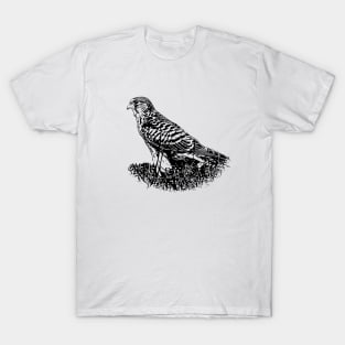 Kestrel T-Shirt